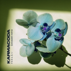 Karmacoda - Feels (Extrawelt Remix)