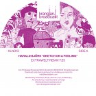 Harald Björk - Sketch On A Feeling (Extrawelt Remix)